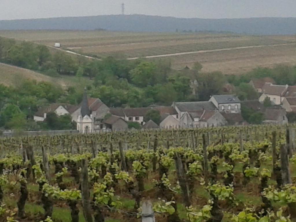 Le Clos Saint Martin Hotel Sancerre Zewnętrze zdjęcie