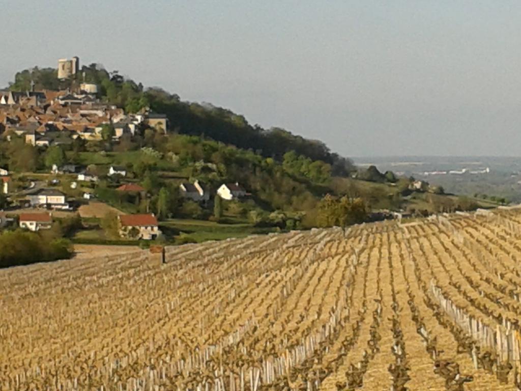 Le Clos Saint Martin Hotel Sancerre Zewnętrze zdjęcie